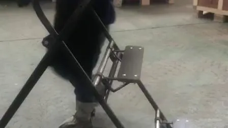 Scaffolding Galvanized Steel Ladder with Integrated Hook in Light Weight 