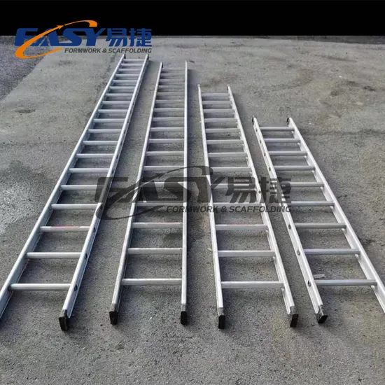 Easy Scaffolding 3m 6m Aluminum/Galvanized Steel Ladder 