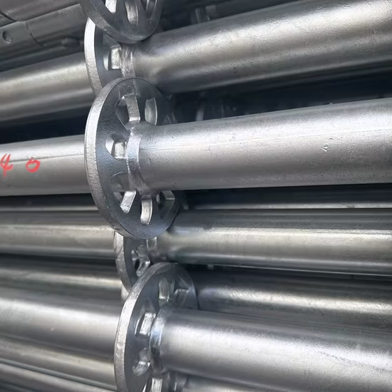 All Round Galvanized Steel Ringlock Scaffolding System Accessories Aluminum Ladder